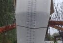 60 mm CAIDOS HASTA LAS 16:00 HS